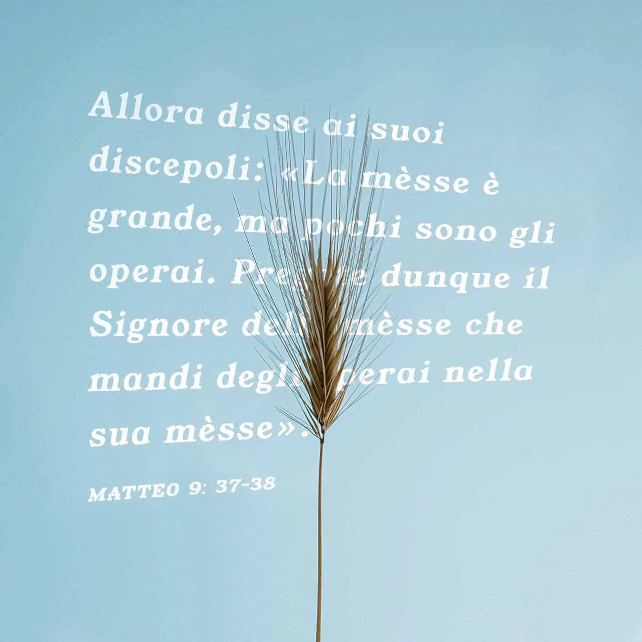 Vangelo secondo Matteo 9:37-38 Allora disse ai suoi discepoli: «La mèsse è  grande, ma pochi sono gli operai. Pregate dunque il Signore della mèsse che  mandi degli operai nella sua mèsse».