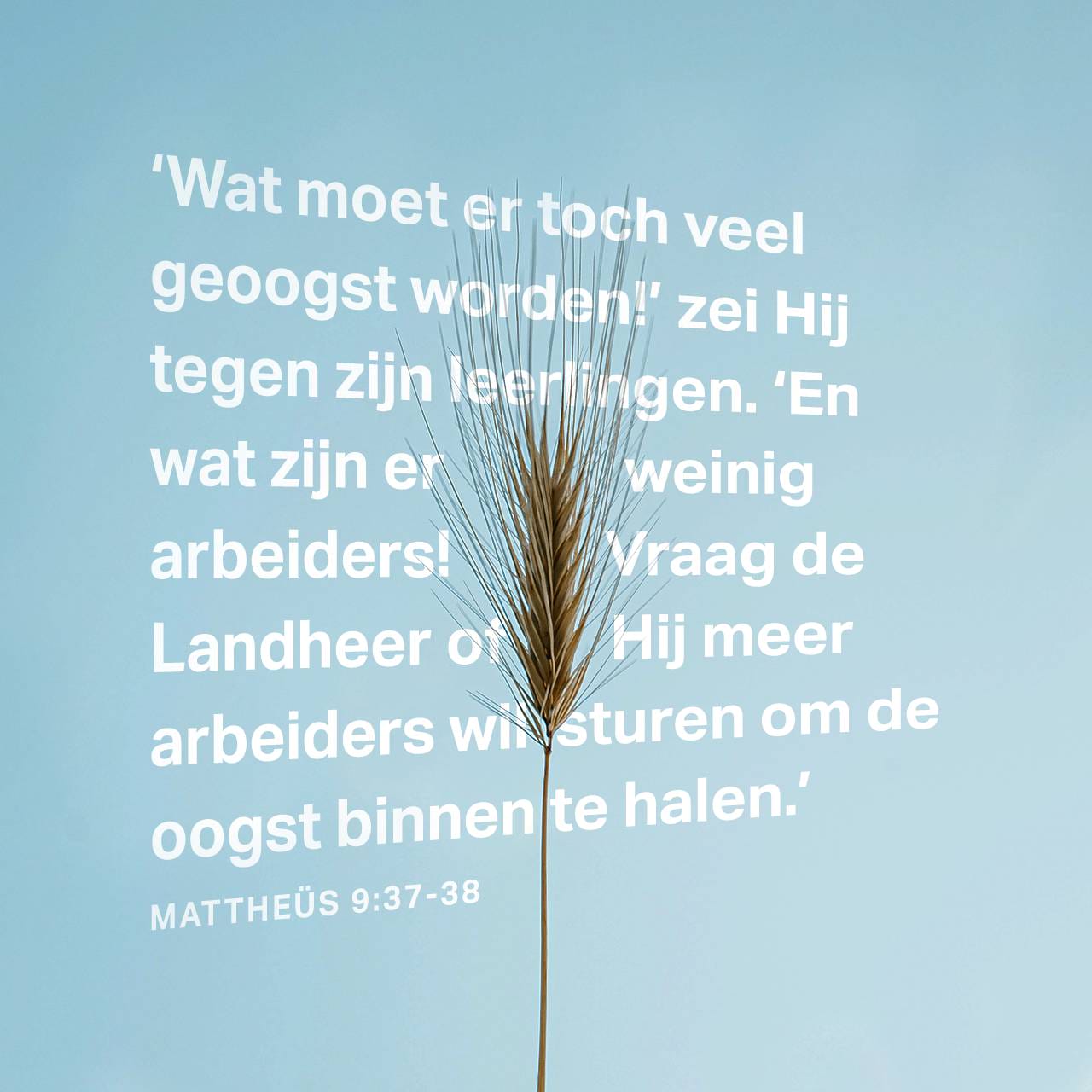 het-evangelie-naar-matte-s-9-38-nbg51-bidt-daarom-de-heer-van-de