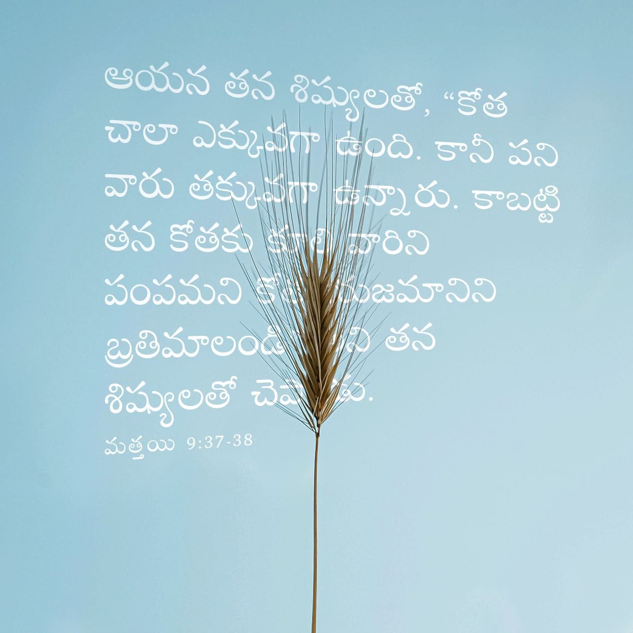 యేసుతో నా స్నేహం✝️🛐 - ShareChat