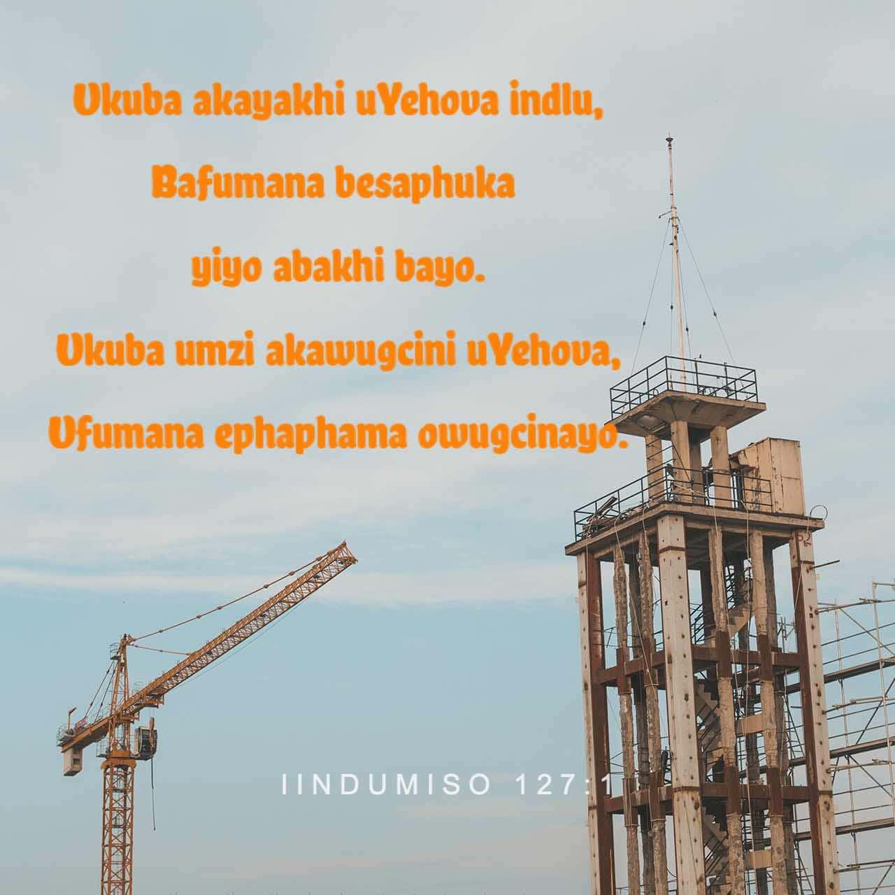 Styuardessa jinsiy aloqa filmlar