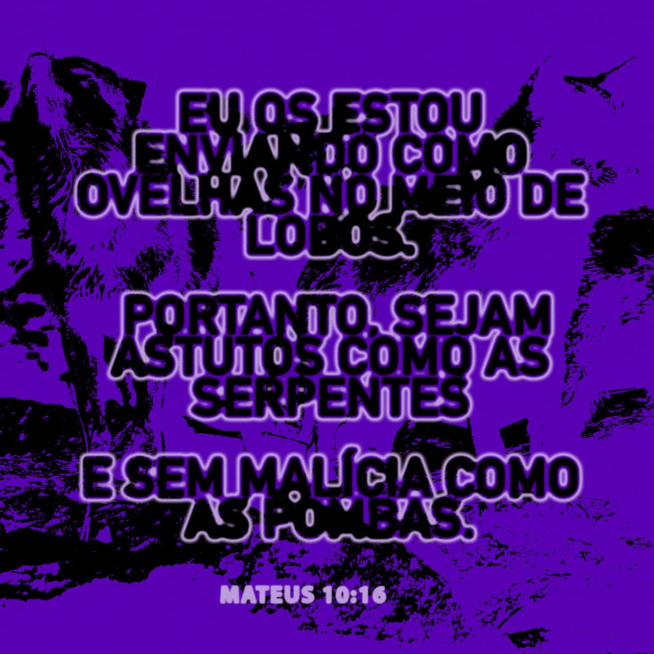 Mateus 10:16,28,31 Eis Que Eu Vos Envio Como Ovelhas Para O Meio De ...