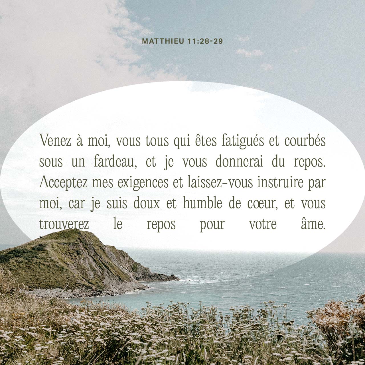 Matthieu 11:28 « Venez auprès de moi, vous tous qui portez des charges très  lourdes et qui êtes fatigués, et moi je vous donnerai le repos. | Parole de  Vie 2017 (PDV2017) |