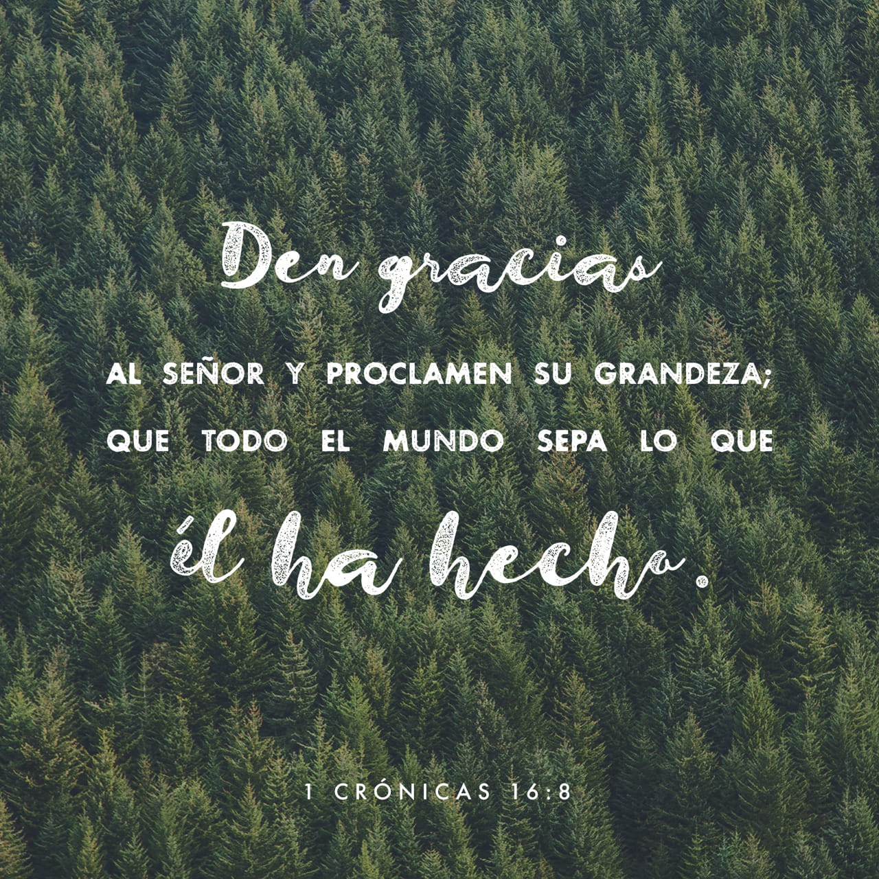 1 Crónicas 16:8 Alabad a Jehová, invocad su nombre, Dad a conocer en los  pueblos sus obras. | Biblia Reina Valera 1960 (RVR1960) | Download The  Bible App Now