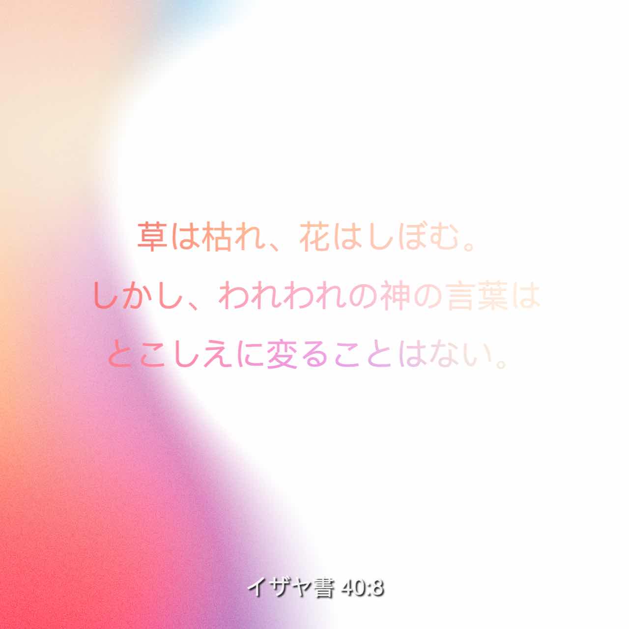 1280x1280.jpg