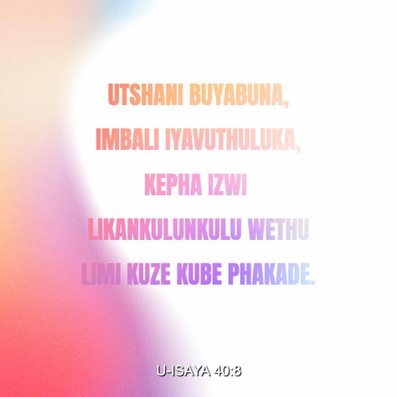 Yalangoch Svetlana Borovskaya