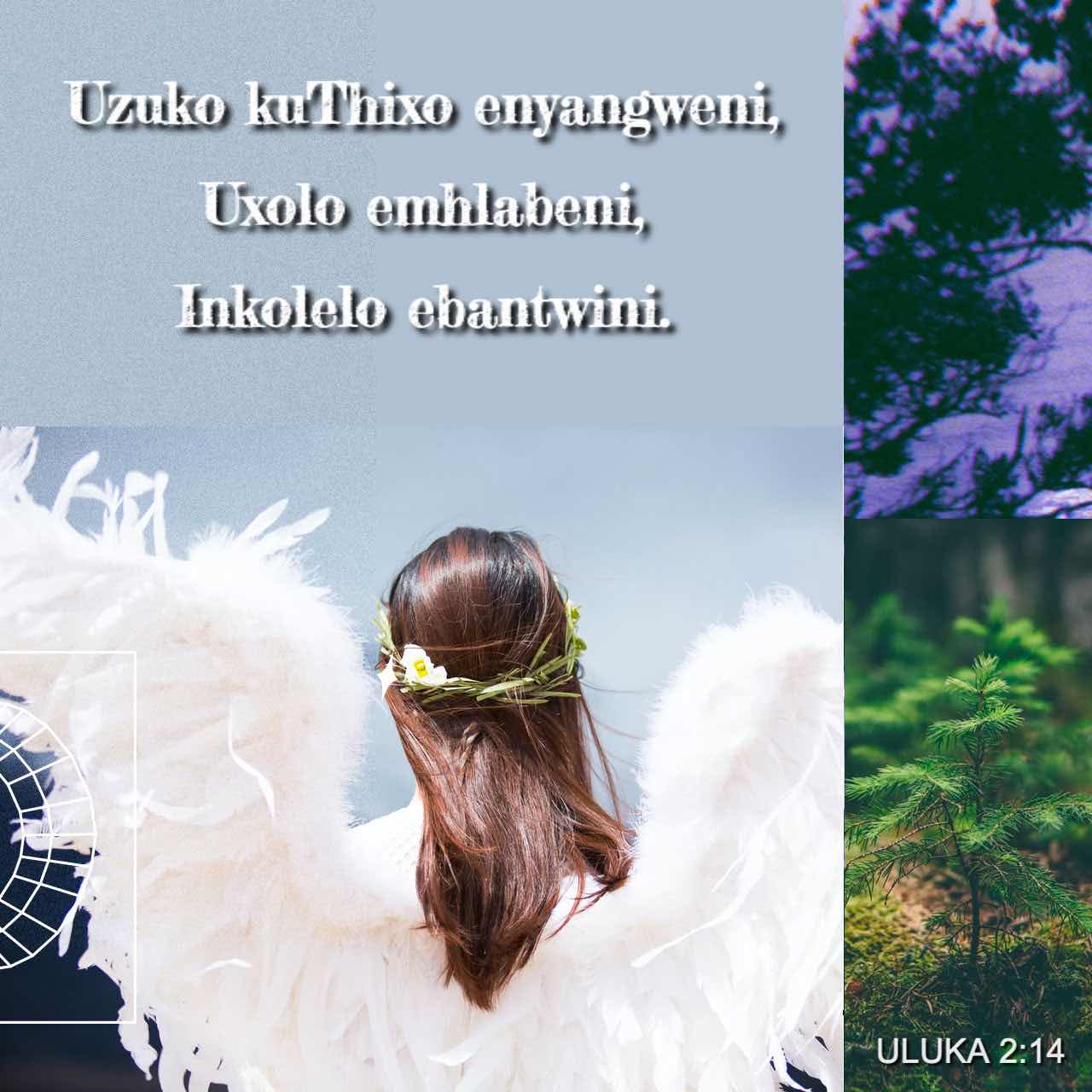 Ulan-Udeda tungi jinsiy aloqa