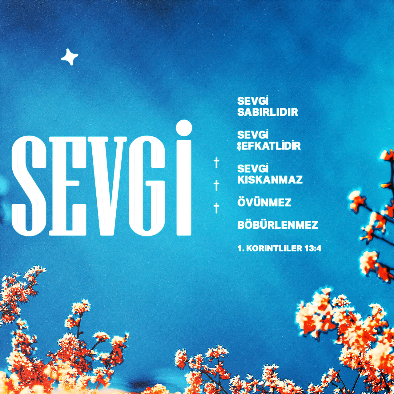 1.KORİNTLİLER 13:4 (TCL02) - Sevgi sabırlıdır, sevgi şefkatlidir