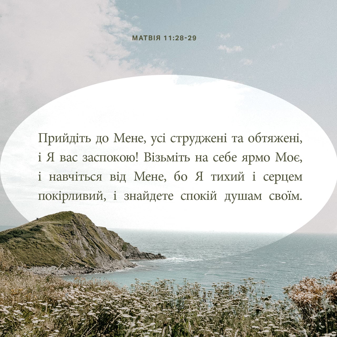 Ақ Холуница порно