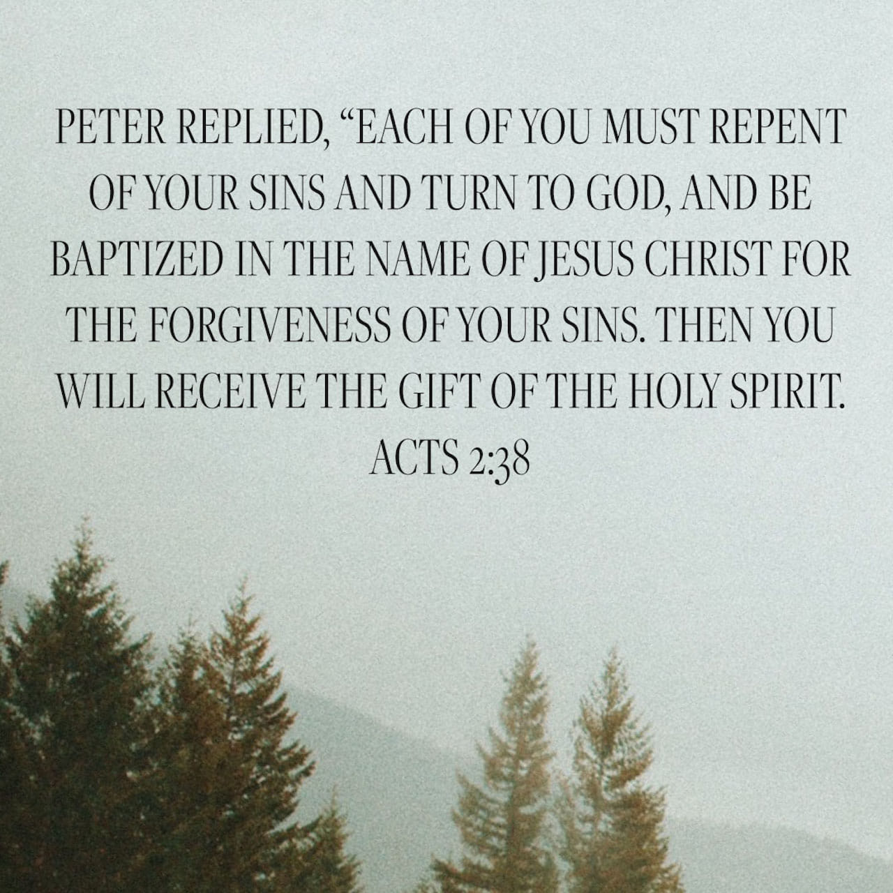 Acts 13:38-39 - Bible verse 