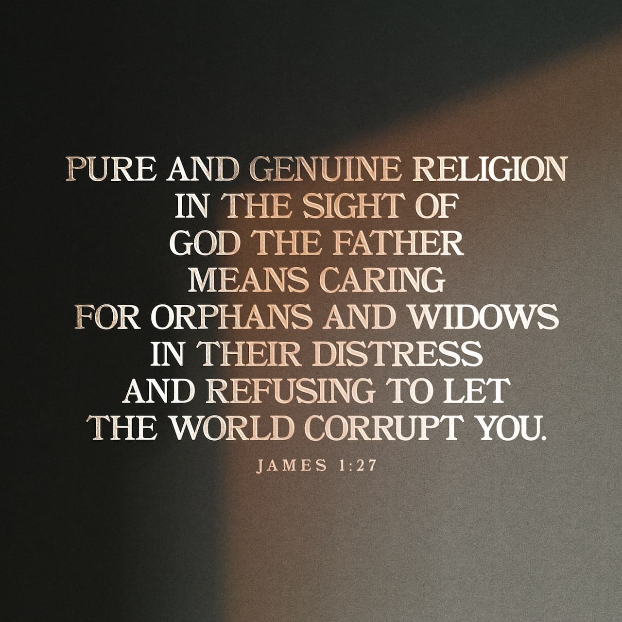 James 1:27 Pure Religion And Undefiled Before God And The Father Is This,  To Visit The Fatherless And Widows In Their Affliction, And To Keep Himself  Unspotted From The World. | King