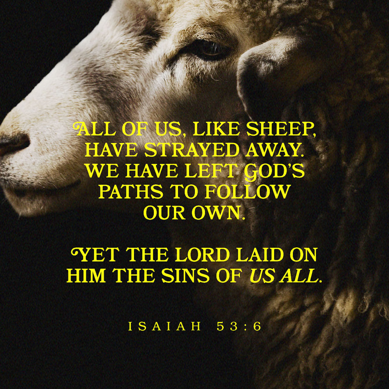 Isaiah 53:6 All we like sheep have gone astray; we have turned every one to his own way; and the LORD hath laid on him the iniquity of us all. | King James Version (KJV) | Download The Bible App Now