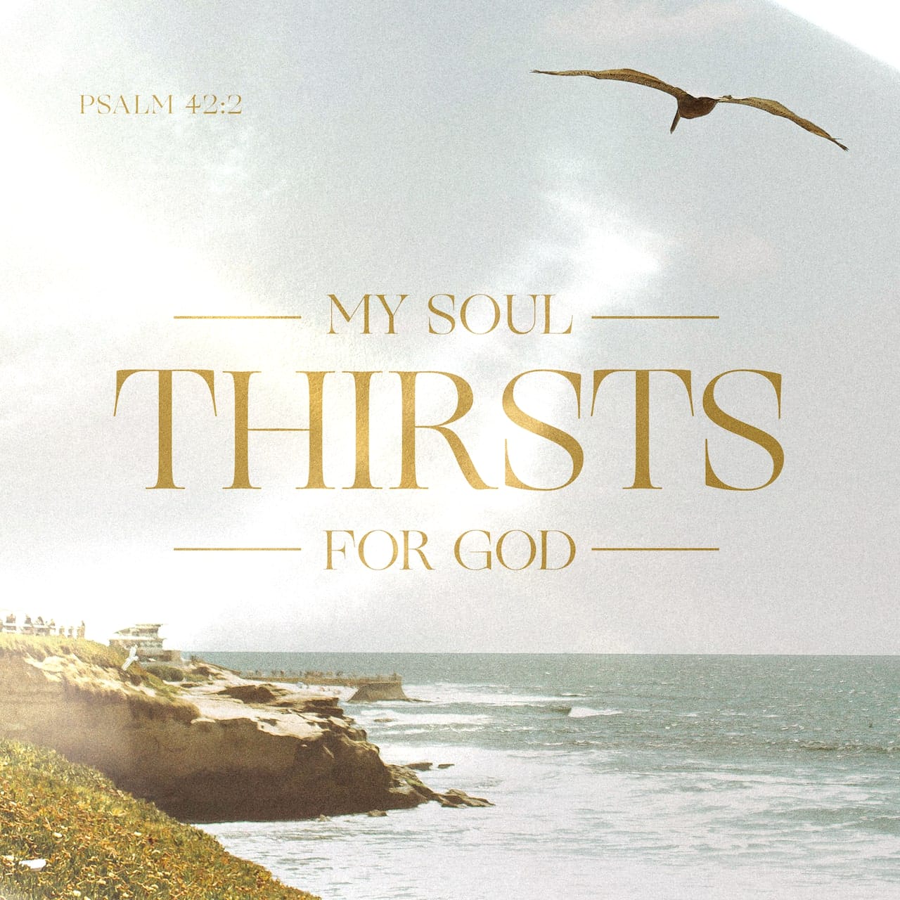 Psalm 42 Book MurtzaShemar