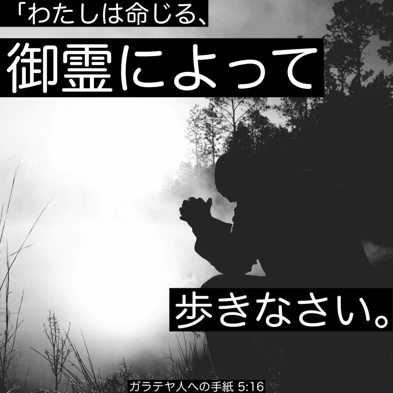 ティンデル聖書注解　ガラテヤ人への手紙 R・アラン・コール著 ティンデル聖書注解 ガラテヤ人への手紙 R・アラン・コール著