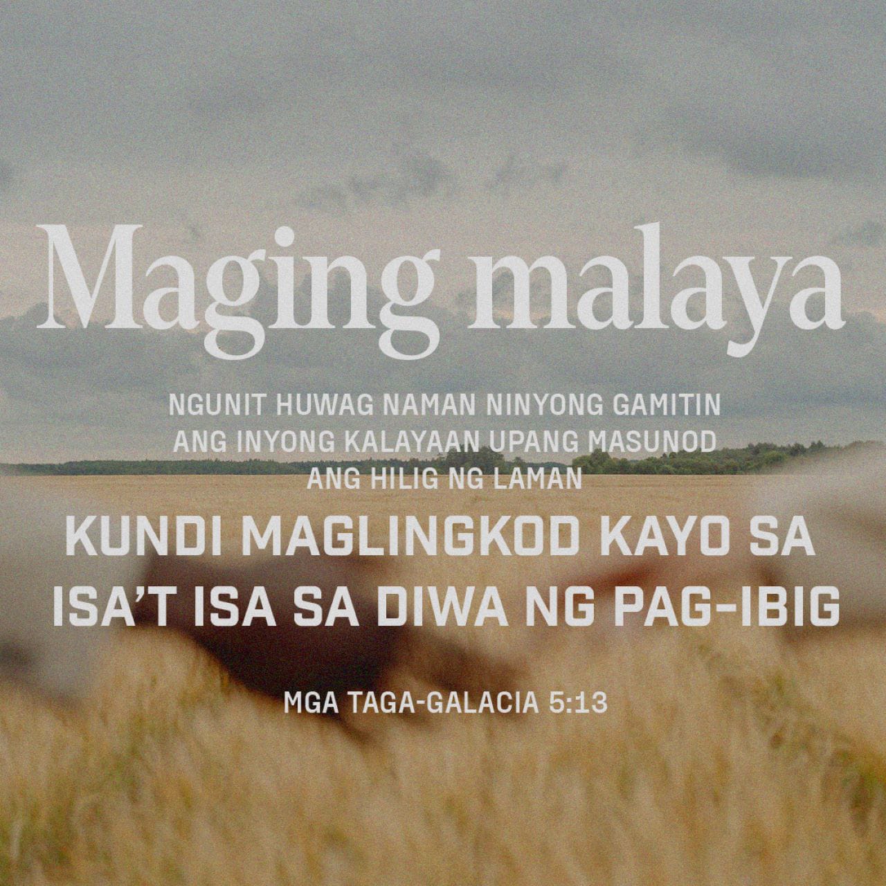 Mga Taga-Galacia 5:13-25 Mga kapatid, tinawag kayo upang maging malaya