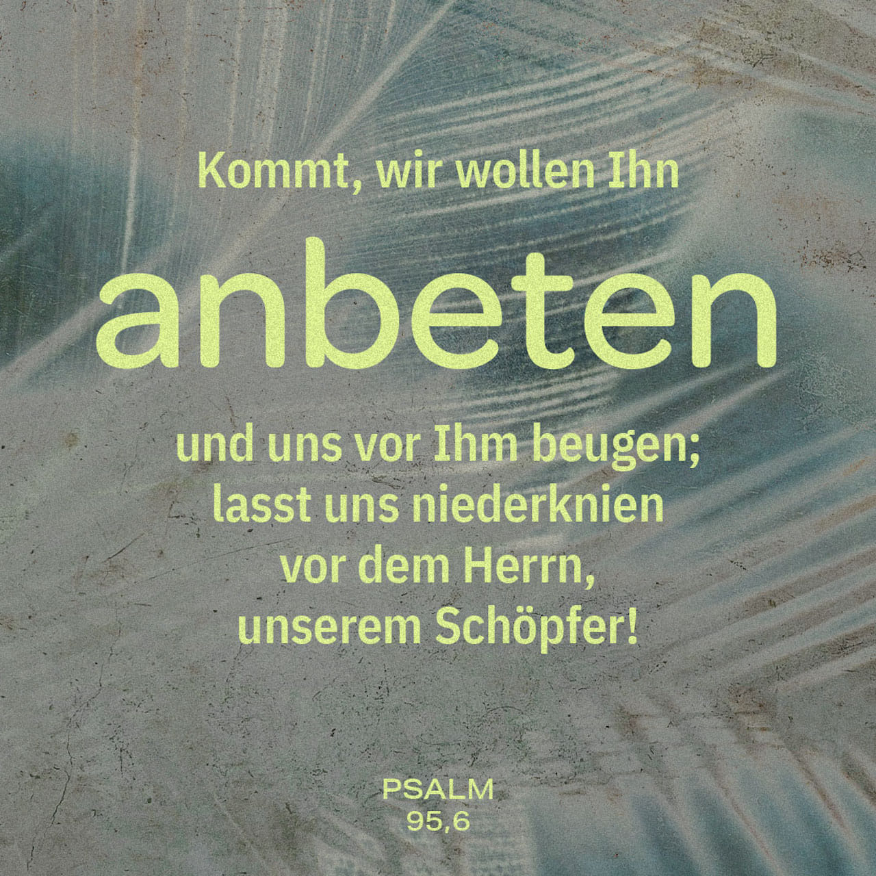 psalmen-95-6-kommt-la-t-uns-niederfallen-und-uns-beugen-la-t-uns