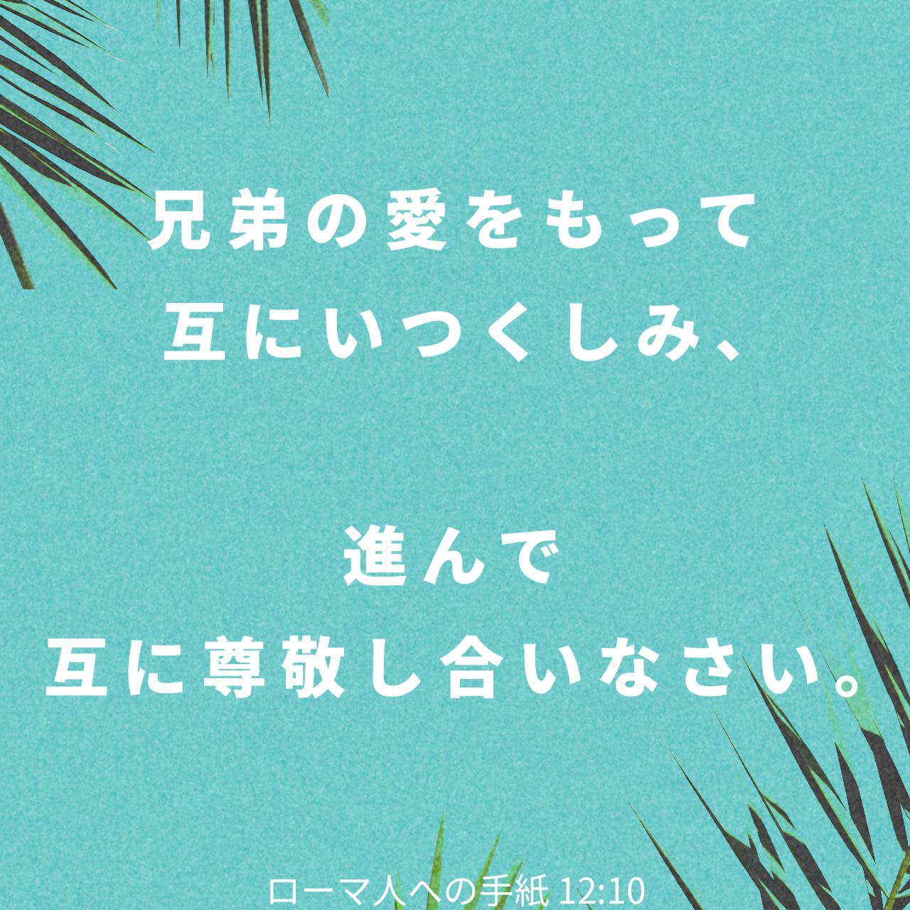 ローマ人への手紙 12:10 兄弟の愛をもって互にいつくしみ、進んで互に 