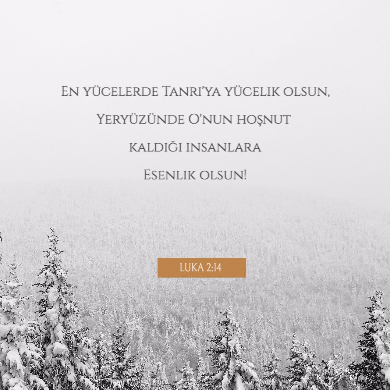 Oddiy rus ayollari ishtirokidagi porno