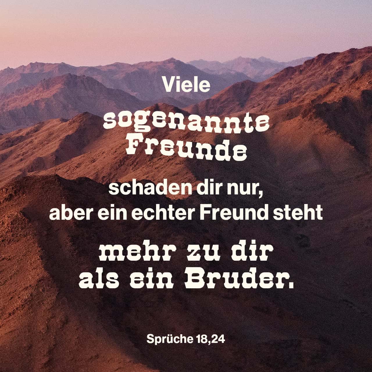 Sprüche 1824 Viele sogenannte Freunde schaden dir nur, aber ein echter