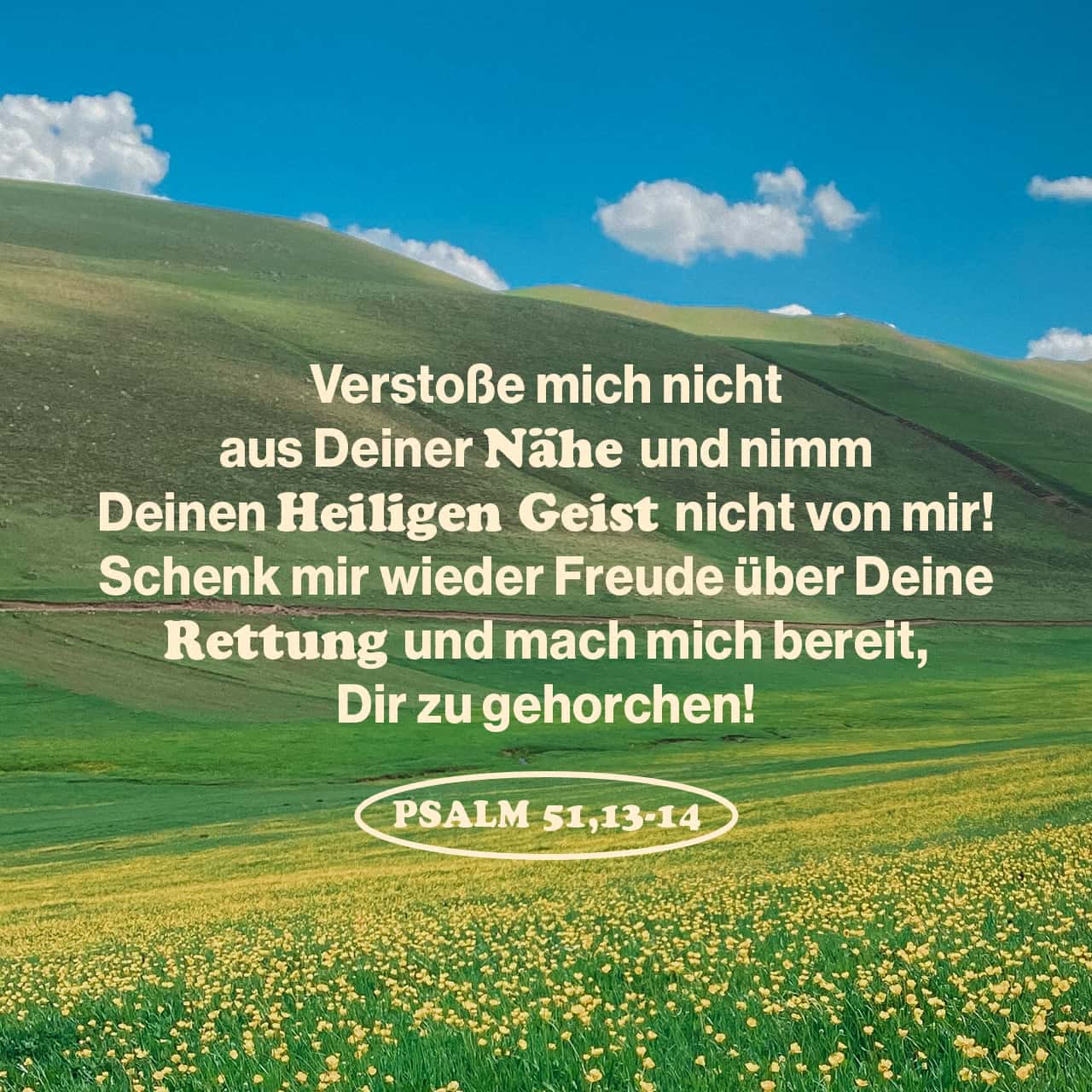 jappy-deine-online-community