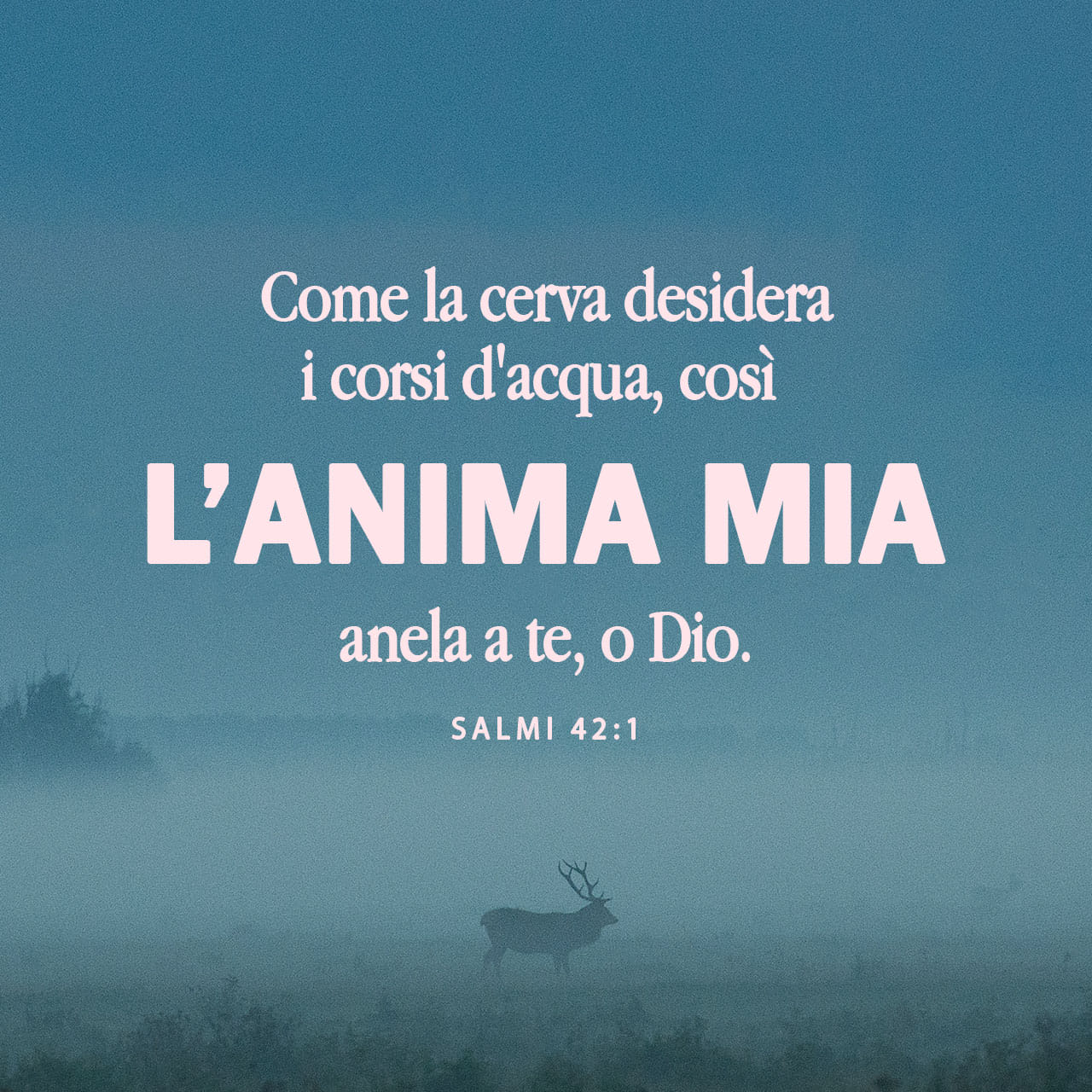 Ti dedico una canzone”: domani la prima a Roma – ANMIL