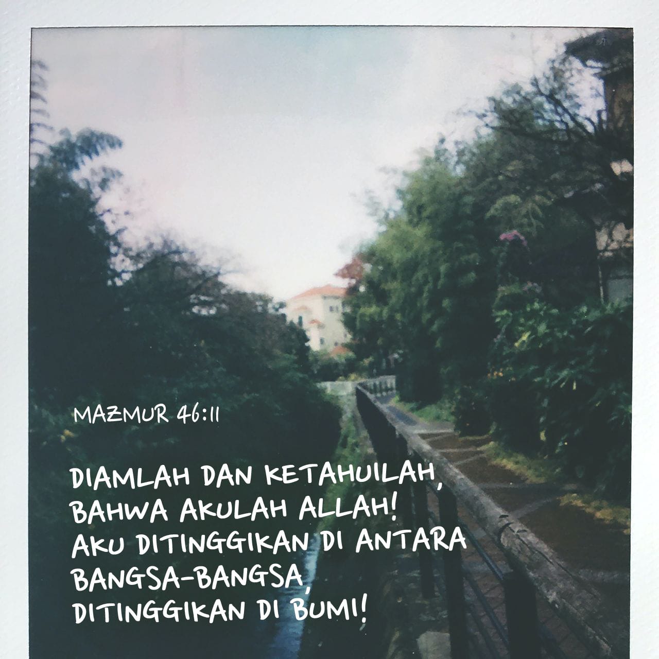 Qollari bilan mushuk