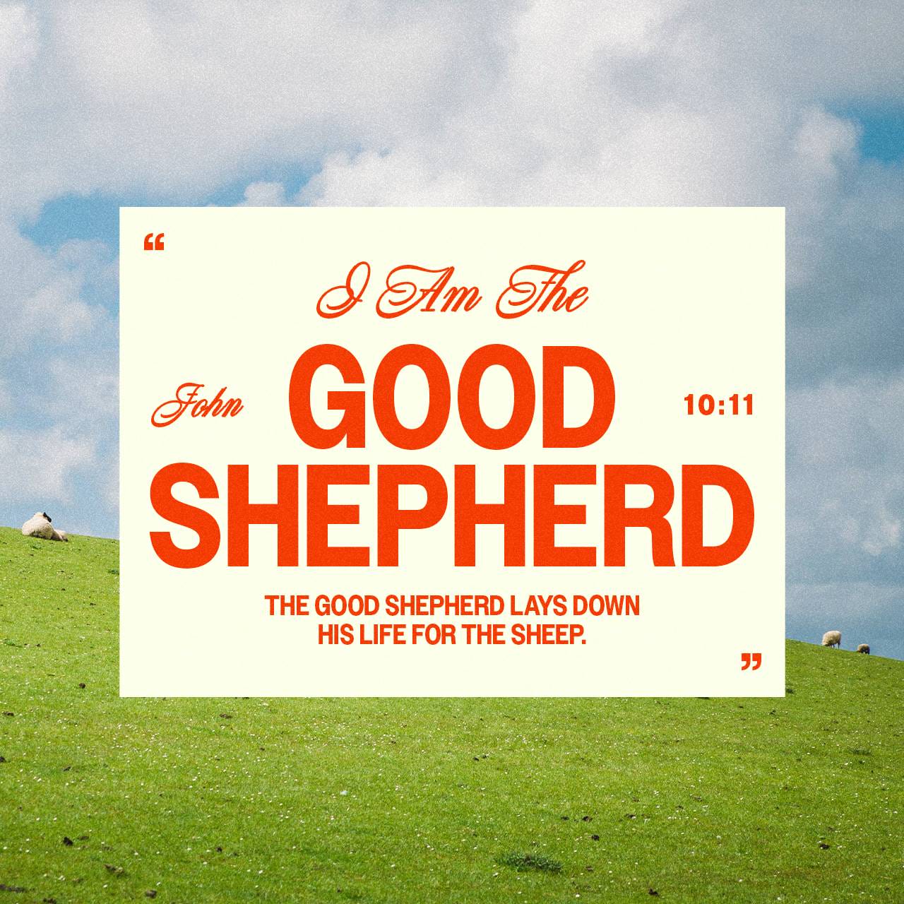 John 10 11 15 18 I Am The Good Shepherd The Good Shepherd Gives His 