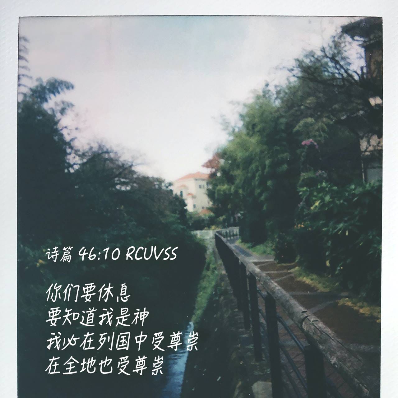 今日经文- Colossians 3:13
