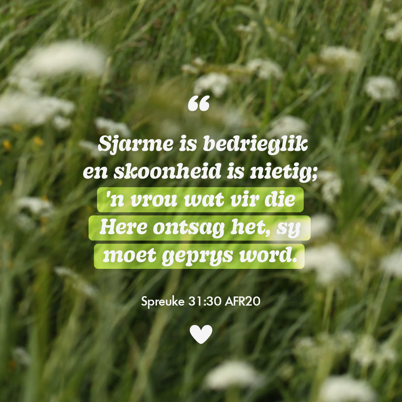 Spreuke 31 30 Mooiheid Bedrieg Skoonheid Vergaan Maar n Vrou Wat Die the-psalm-of-the-day-psalms-chapter-31-verse-24-bibleverse-youtube