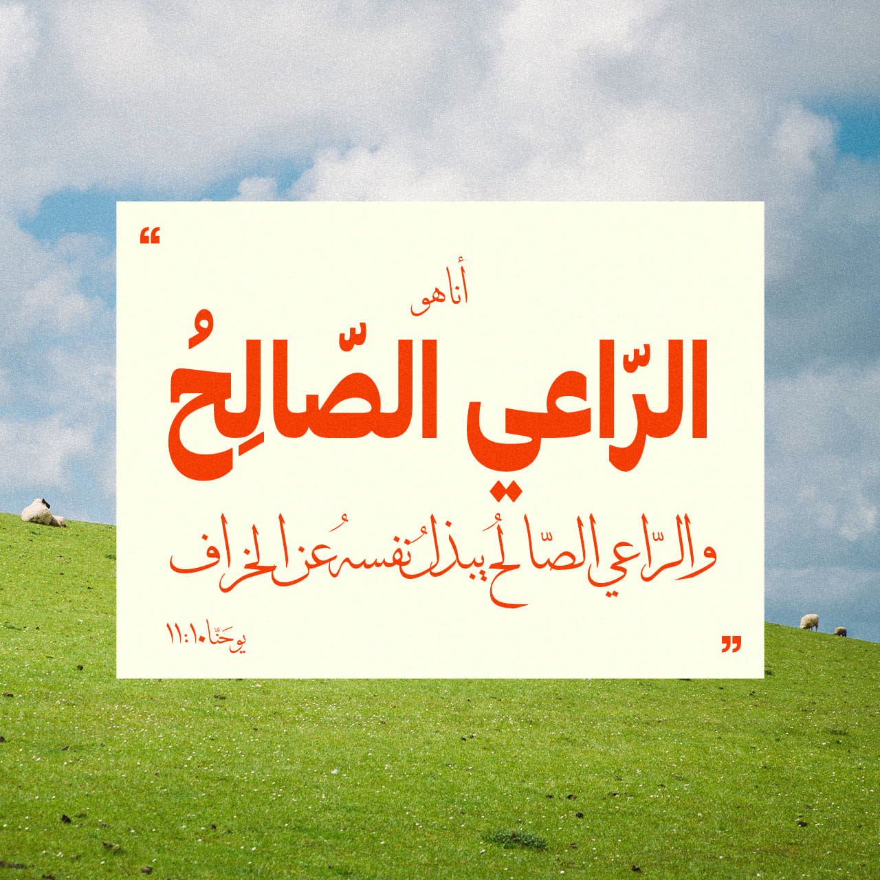 يُوحَنَّا 11:10 أَنَا هُوَ ٱلرَّاعِي ٱلصَّالِحُ، وَٱلرَّاعِي ٱلصَّالِحُ ...