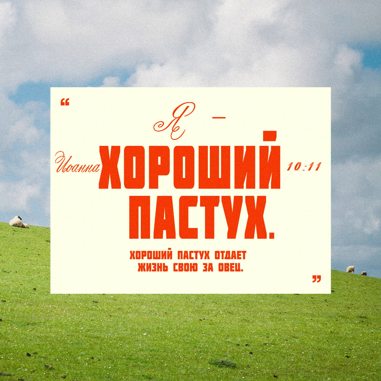 Өтіп бара жатқандар менің жыныс мүшесіме тиіп жатыр