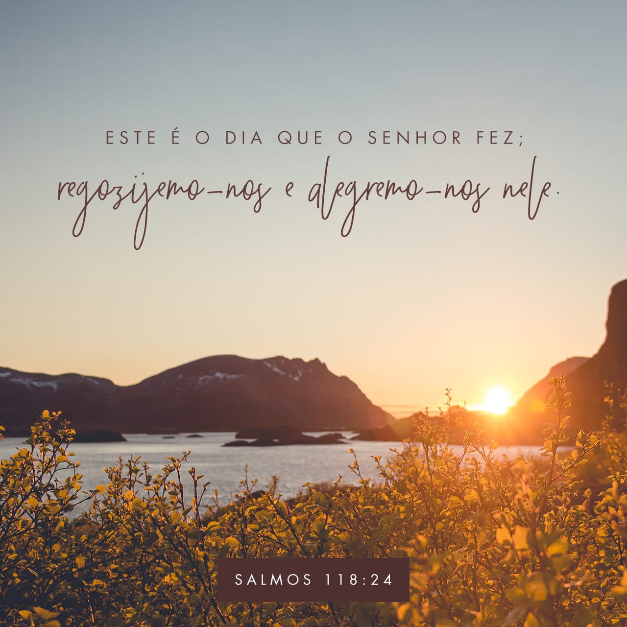 Salmos 118 24 Este E O Dia Que Fez O Senhor Regozijemo Nos E Alegremo Nos Nele Almeida Revista E Corrigida Arc Baixar O App Da Biblia Agora