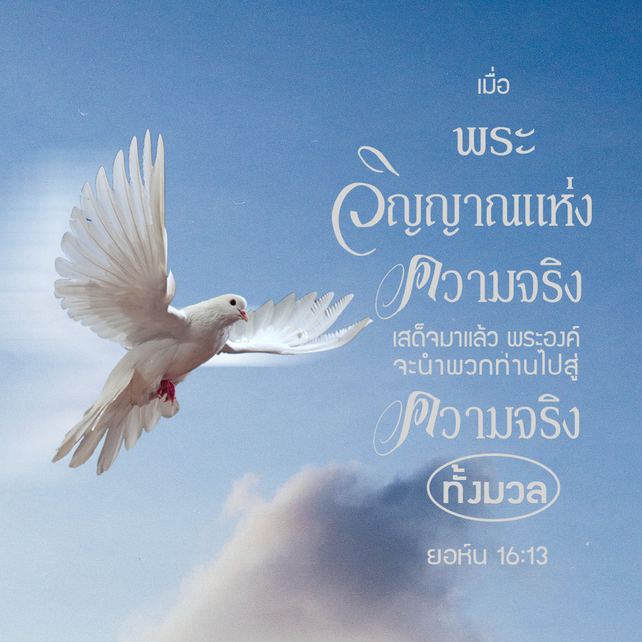 My Image 36