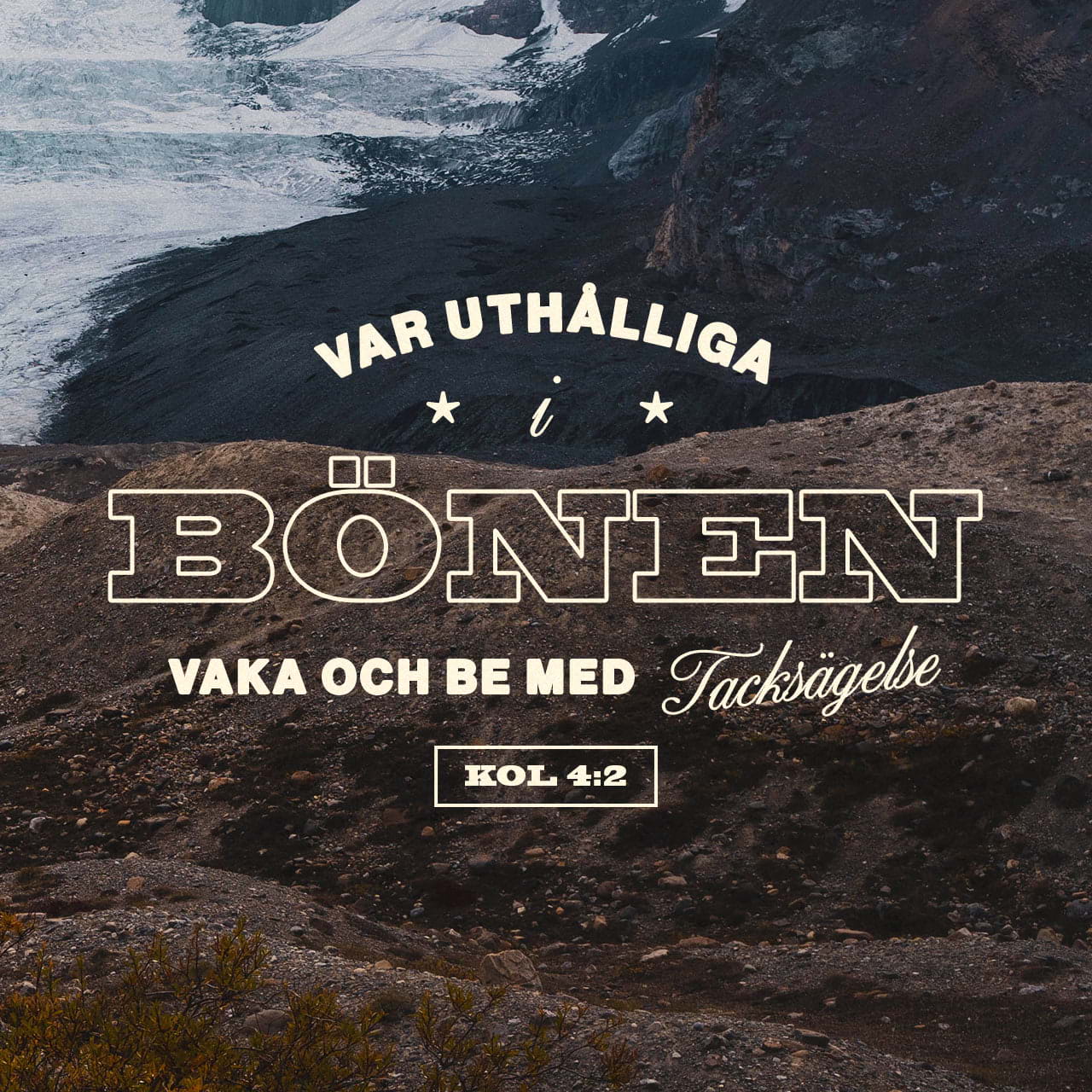 Qora xoroz ichkariga kiradi