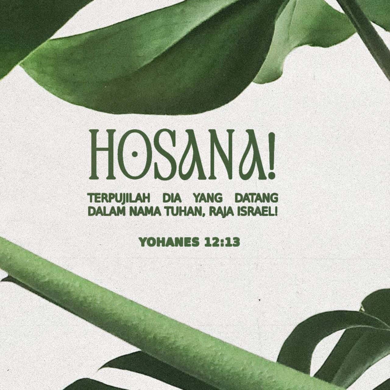 Yohanes 12:12-16 Keesokan Harinya Ketika Orang Banyak Yang Datang ...