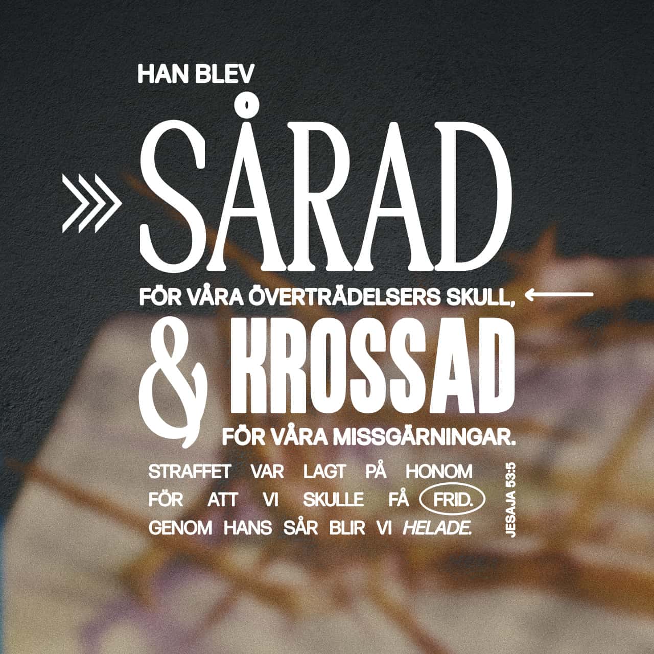 Toliq semiz ayollarning porno fotosuratlari