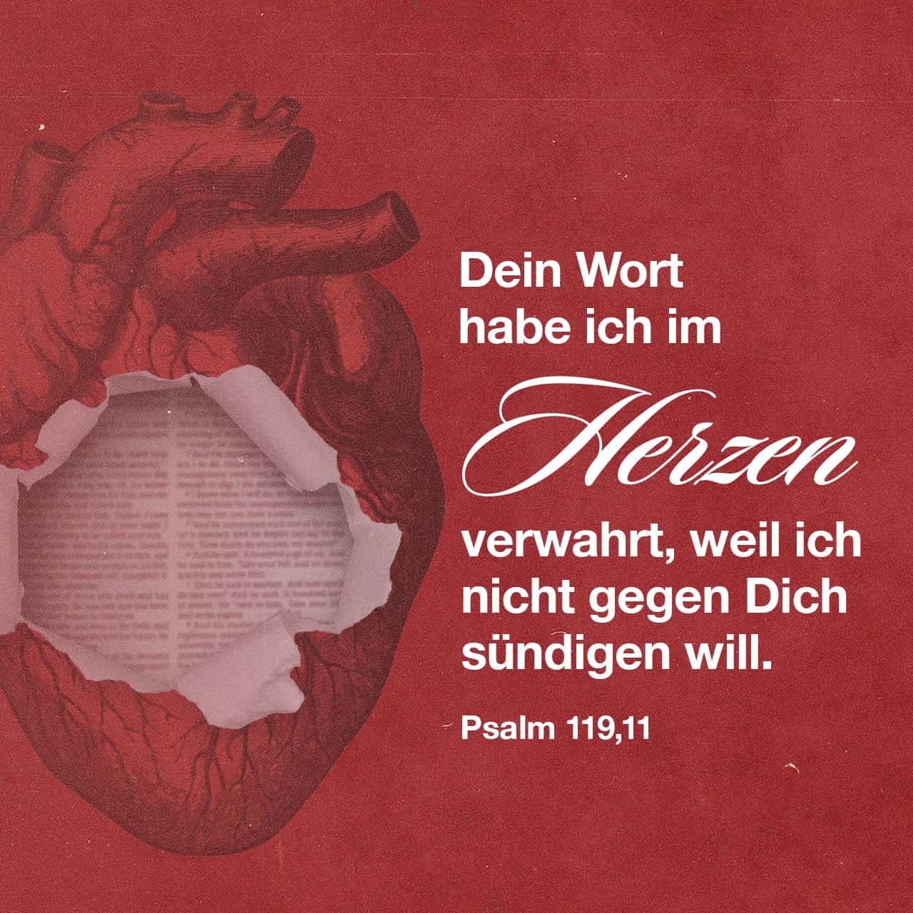 Psalm 119:11 Tief präge ich mir dein Wort ein, damit ich nicht vor dir ...