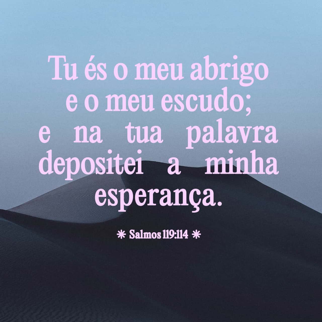 Salmos 119 113 114 N o Suporto As Pessoas Falsas Mas Amo A Tua Lei Tu salmos-119-113-114-n-o-suporto-as-pessoas-falsas-mas-amo-a-tua-lei-tu