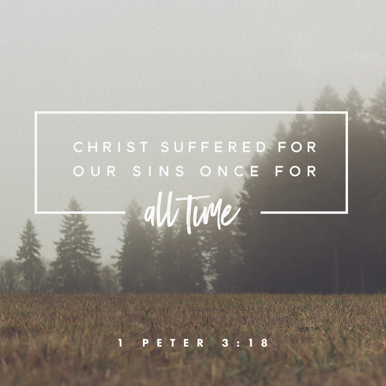 1-peter-3-18-for-christ-also-suffered-once-for-sins-the-righteous-for