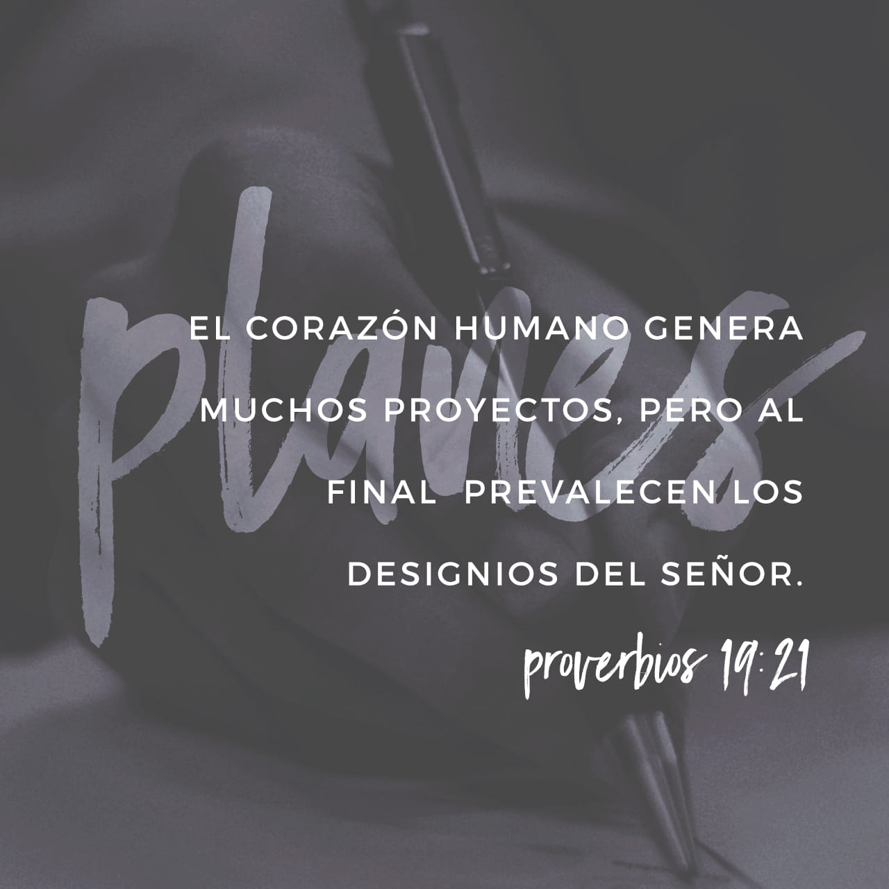 Proverbios 19:20 Escucha el consejo y acepta la corrección, y llegarás a  ser sabio., Nueva Biblia Viva (NBV)