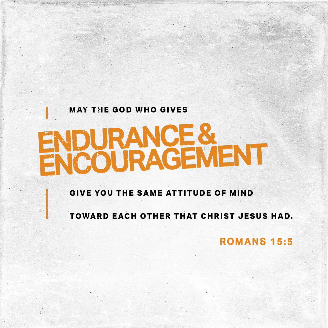 Romans 15:5 Now the God of patience and consolation grant you to be likeminded one toward another according to Christ Jesus | King James Version (KJV) | Download The Bible App Now