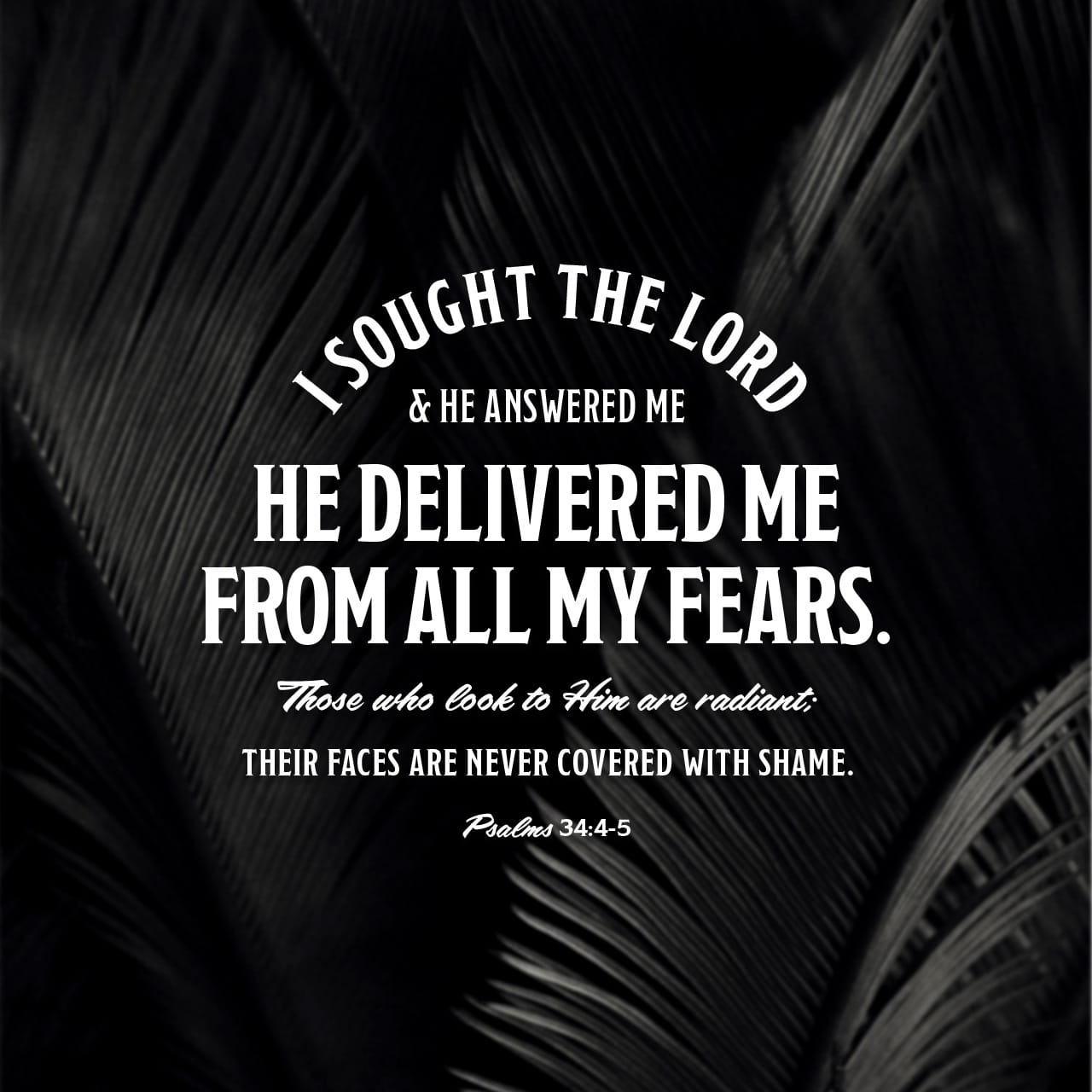 psalms-34-4-15-i-sought-the-lord-and-he-heard-me-and-delivered-me