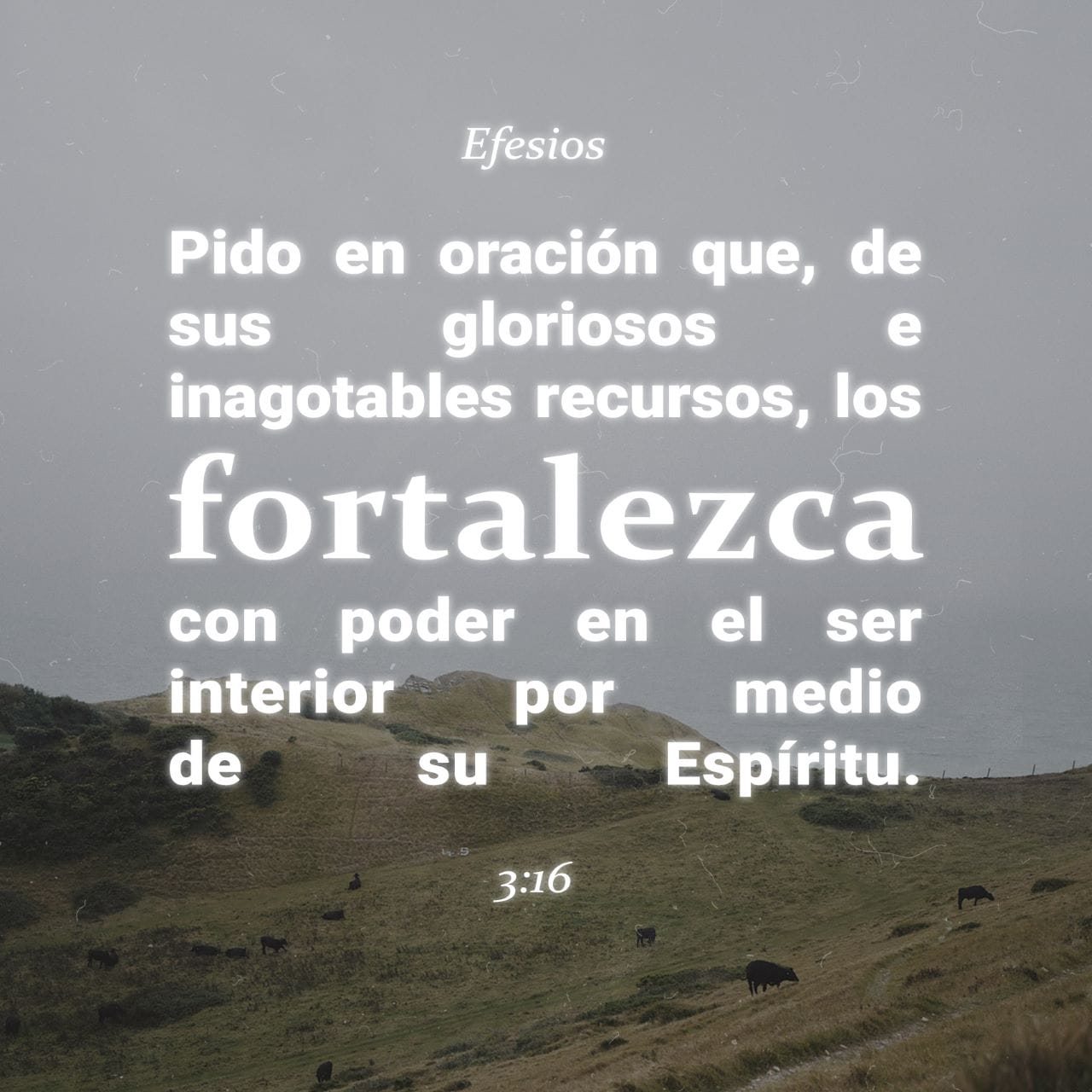 Efesios 3:16-19 Le pido que, por medio del Espíritu y con el poder que  procede de sus gloriosas riquezas, los fortalezca a ustedes en lo íntimo de  su ser, para que por