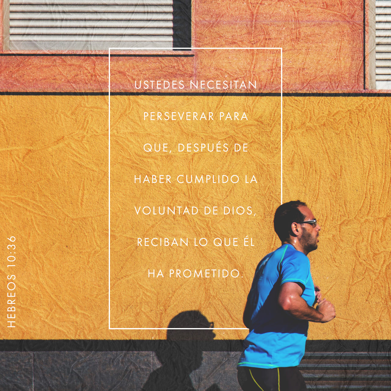 hebreo 10 36 39