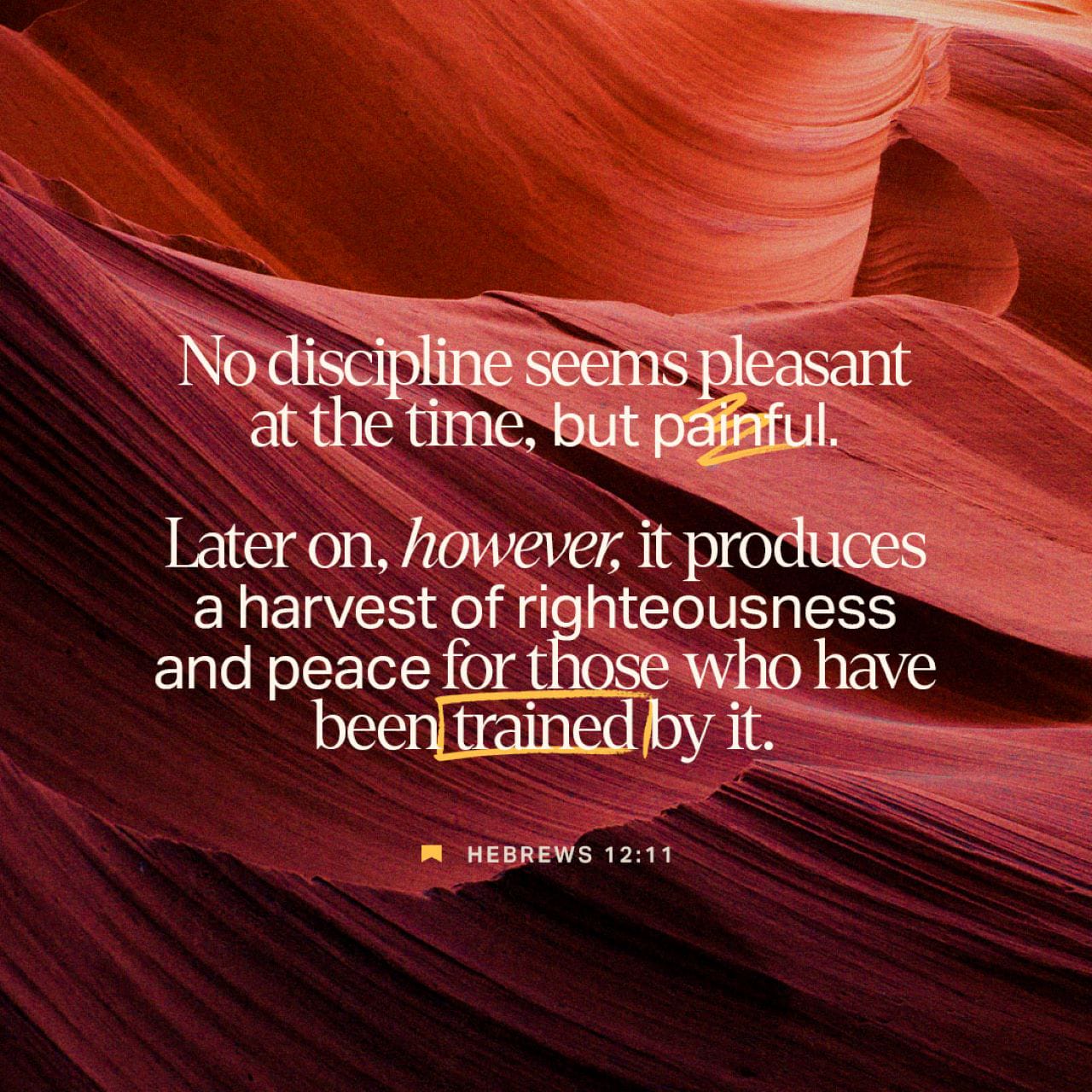 Hebrews 12:11 Now all discipline seems to be painful at the time, yet later  it will produce a transformation of character, bringing a harvest of  righteousness and peace to those who yield