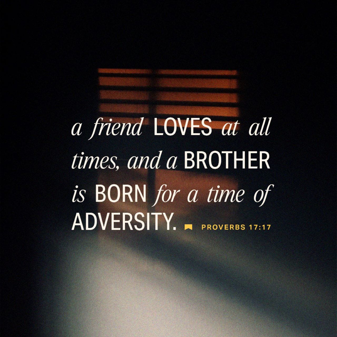 Proverbs 17:17, 22 A friend loves at all times, and a brother is born ...