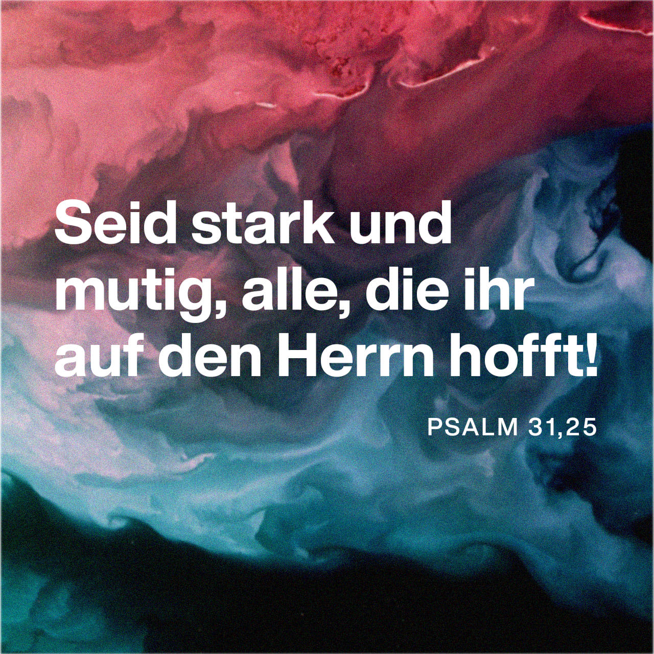 Psalm 31:24-25 Liebt den HERRN, alle, die ihr zu ihm gehört! Wer treu ...