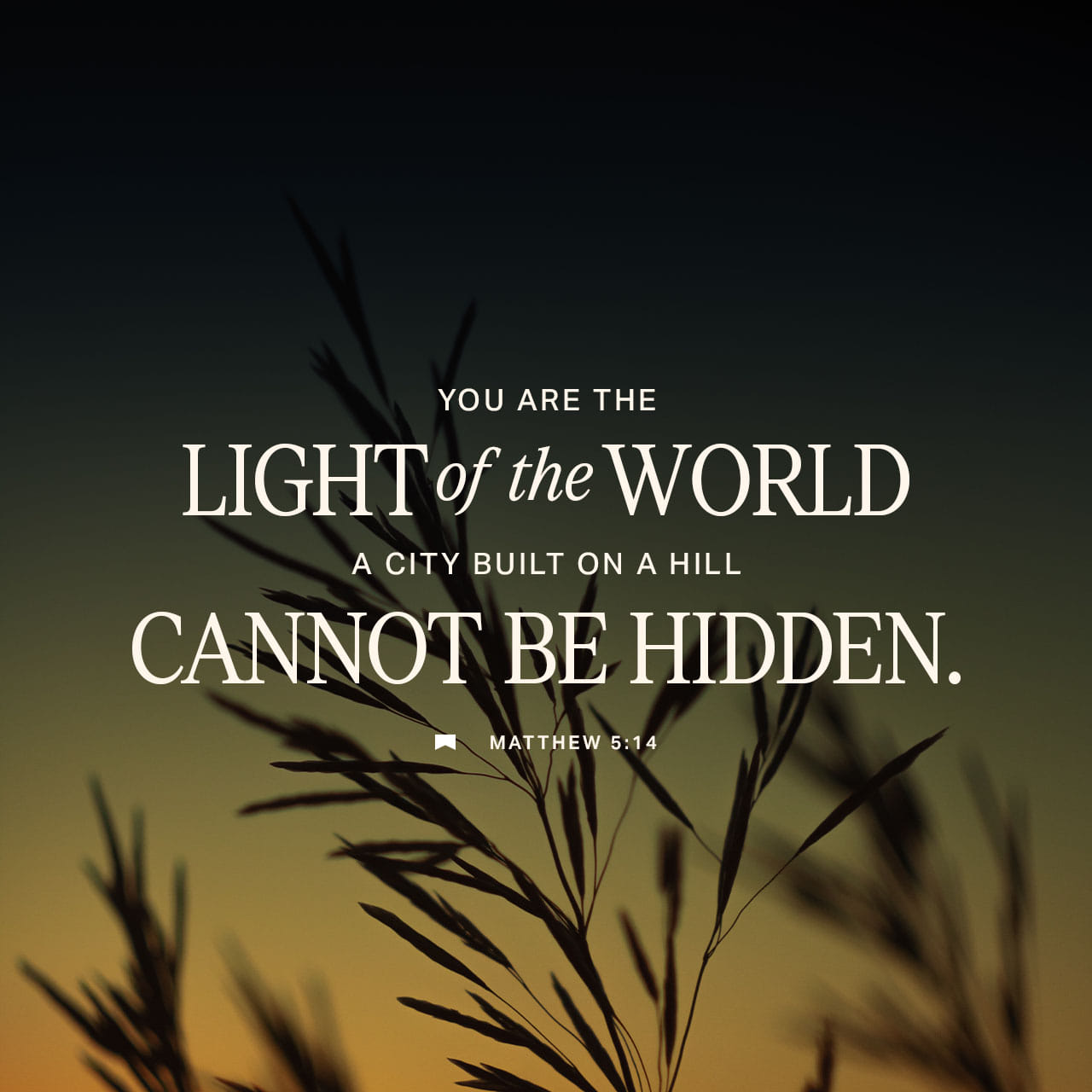 the light of the world