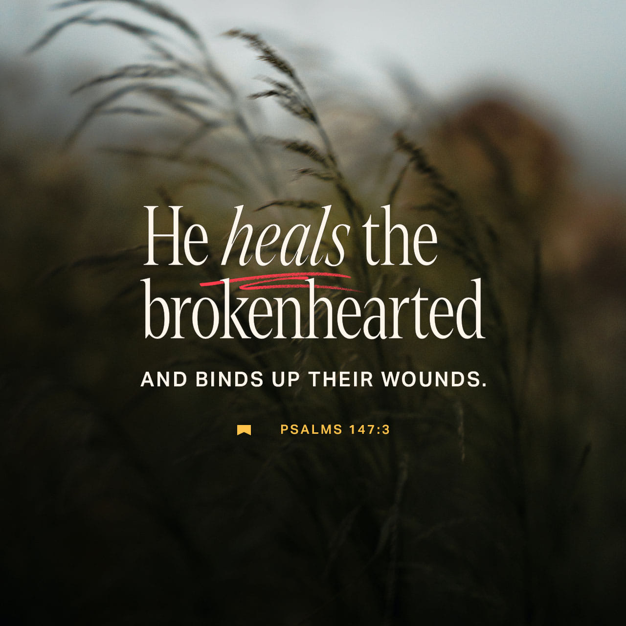 psalms-147-3-he-heals-the-broken-in-heart-and-binds-up-their-wounds