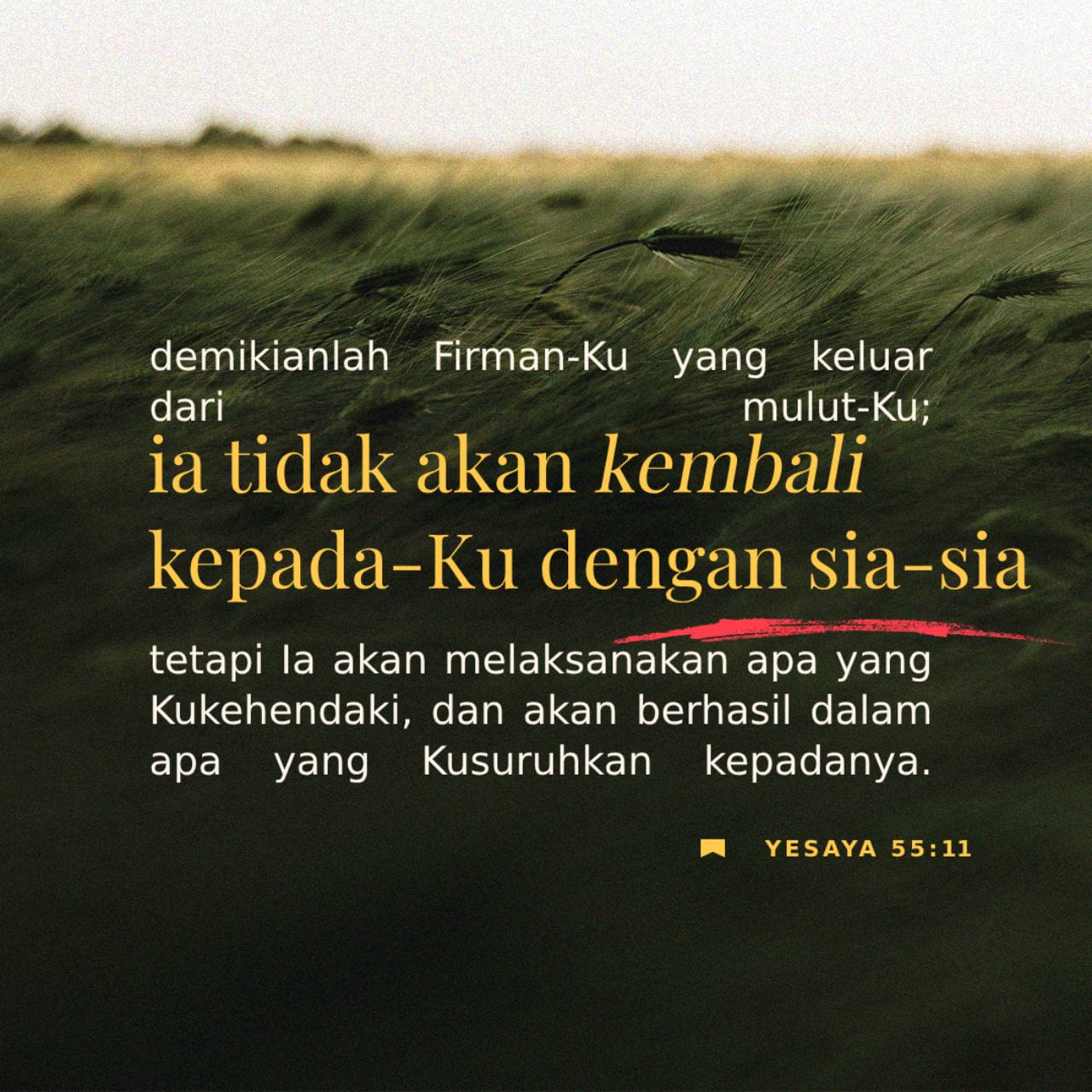 Xotinining sevgilisini sorish (video)