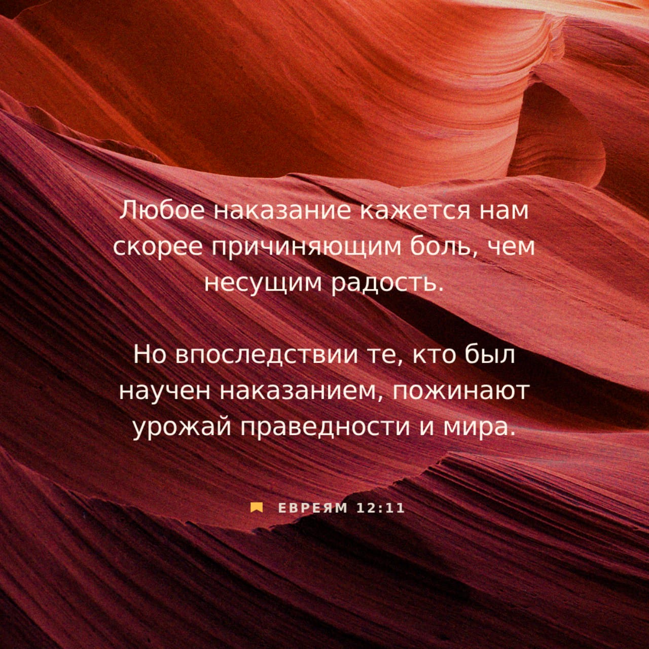 Послание к Евреям 12:10-15 Те наказывали нас по своему произволу для  немногих дней; а Сей — для пользы, чтобы нам иметь участие в святости Его.  Всякое наказание в настоящее время кажется не